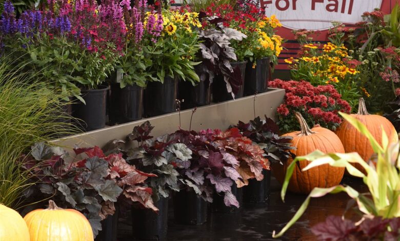 3 easy ways to enjoy living color in your outdoor space this fall