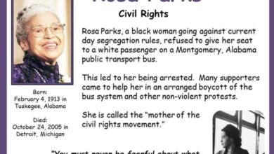 According to Florida law, the publisher, Studies Weekly, has removed any reference to Rosa Parks being a Black woman from a textbook.