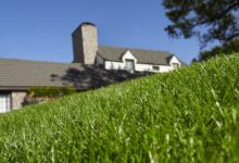 Are you making these 5 common spring lawn care mistakes? Are you making these 5 common spring lawn care mistakes?