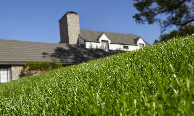 Are you making these 5 common spring lawn care mistakes?