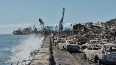 After Devastating Wildfires, Maui Faces Formidable Billion Reconstruction Challenge