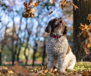 Enjoying the fall weather 