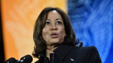 Kamala Harris’ Tax Proposal Gains Unlikely Support from Majority of Republicans