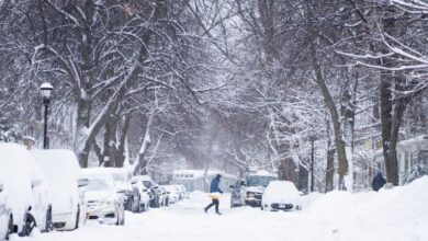 Massive Winter Storm Leaves Over 1 Million Without Power Amid Freezing Temperatures