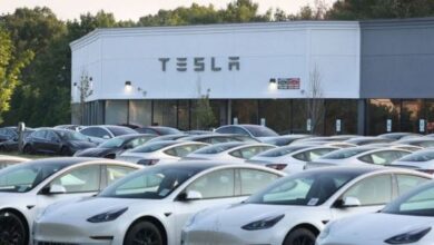 Tesla Initiates Massive Recall in China as Steering Software Issues Emerge