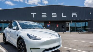 Tesla Halves Price of Full Self-Driving Subscription in Strategic Shift