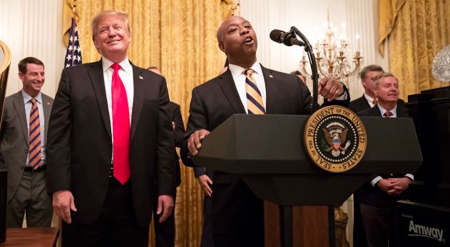 Donald Trump Considers Tim Scott as Potential Running Mate