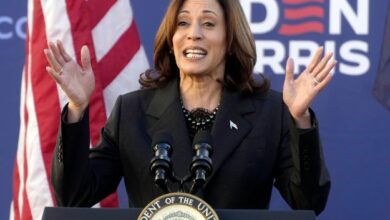 VP Harris Quickly Embraces Role as Democratic Presidential Candidate