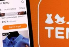 Temu’s Advertising Investment Energizes Big Tech Platforms Temu’s Advertising Investment Energizes Big Tech Platforms