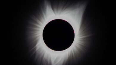 Capturing the Eclipse: Safe and Simple Tips for Smartphone Photography