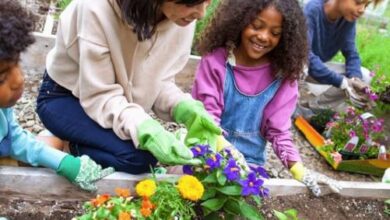 How to Start a Small Vegetable Garden with Your Children Using Items from Big Box Retailers