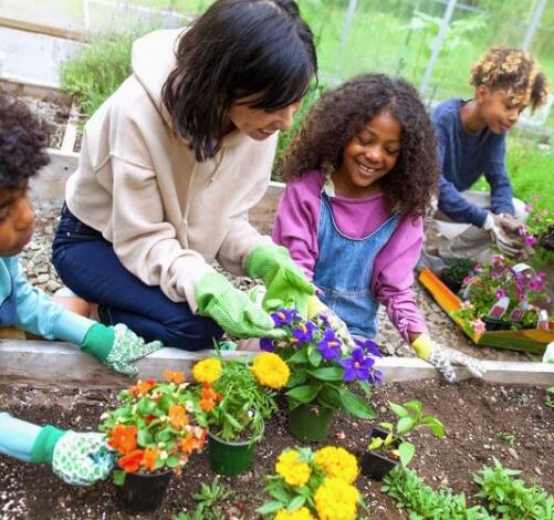 How to Start a Small Vegetable Garden with Your Children Using Items from Big Box Retailers