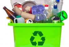 Sustainable Living Tips for You Home Sustainable Living Tips for You Home