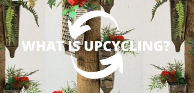 The Transformative Power of Upcycling: How It Benefits You and the Environment