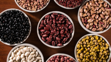 Savoring the Sensory Delights of Beans in Summer Dishes