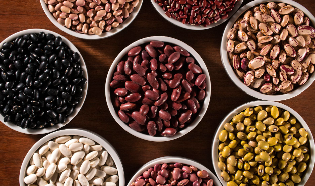 Savoring the Sensory Delights of Beans in Summer Dishes