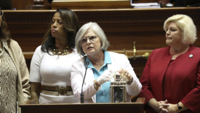 Republican Women Lose Seats in South Carolina Senate Primaries