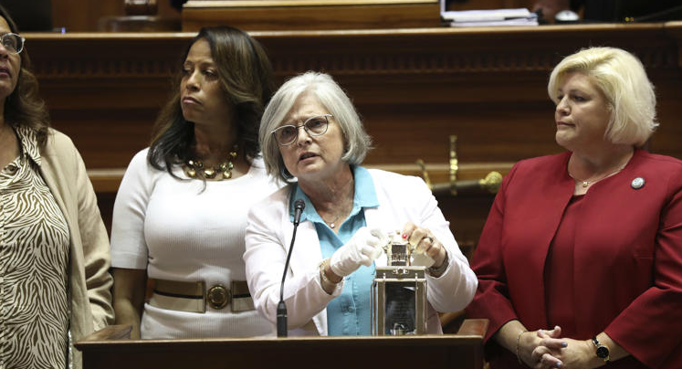 Republican Women Lose Seats in South Carolina Senate Primaries