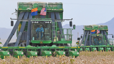 DEI Initiatives Facing Changes at John Deere and Microsoft