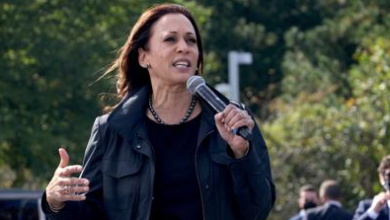 White Man Attacks Black Postal Worker Over Kamala Harris Ad in Shocking Incident