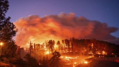 California’s Largest Wildfire Expands to 350,000 Acres, Hopes for Containment Rise