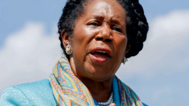 Veteran Democratic Congresswoman Sheila Jackson Lee Dies at 74