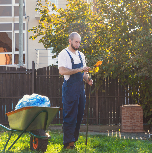 Clean and Rake The Yard