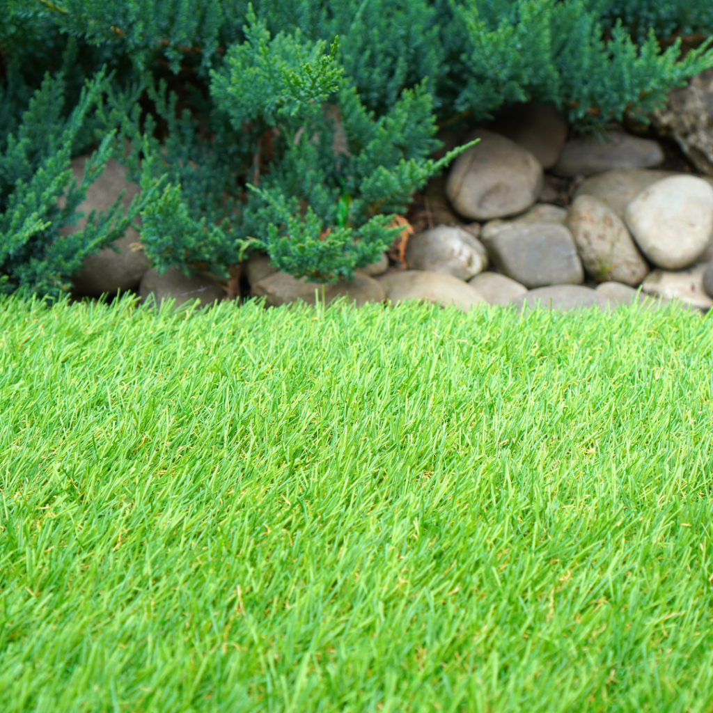 Clean up the lawn and protect your plants 