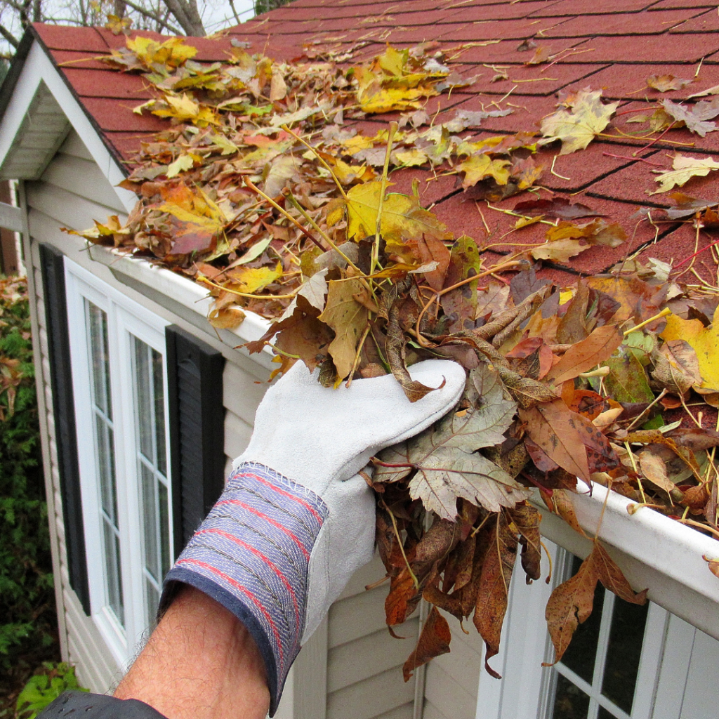 Inspect and Clean Gutters 