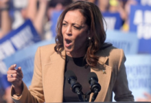 U.S. Election Analyst Predicts Kamala Harris Could Defeat Trump in 2024 Presidential Race