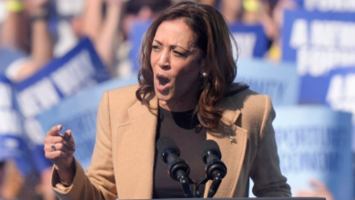 U.S. Election Analyst Predicts Kamala Harris Could Defeat Trump in 2024 Presidential Race