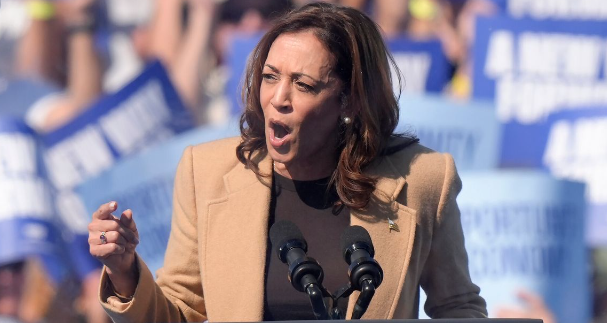 U.S. Election Analyst Predicts Kamala Harris Could Defeat Trump in 2024 Presidential Race