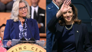 Liz Cheney Backs Kamala Harris, Citing Trump’s ‘Assault on Democracy’