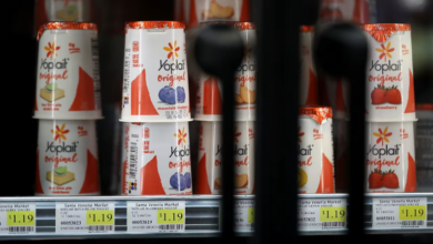 General Mills to Sell North American Yogurt Business to French Dairy Firms for .1 Billion