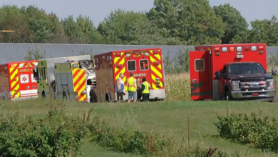 Dozens Injured After Wagon Overturns at Apple Orchard, Authorities Report