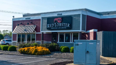 Red Lobster’s New Millennial CEO Embraces Work-First Ethic: ‘My Work Is My Life’