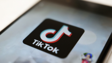 TikTok Fights for Survival in U.S. Courts Amid National Security Concerns