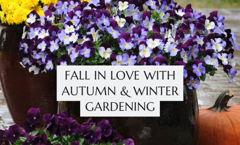 Fall in love with autumn and winter gardening