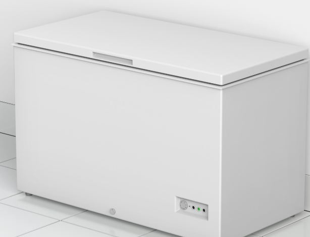 The Chest Freezer Advantage: Saving Money with Smart Storage