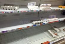 Grocery Chains Enforce Egg Limits as Bird Flu Sparks Shortages and Price Hikes