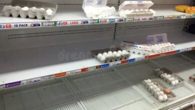 Grocery Chains Enforce Egg Limits as Bird Flu Sparks Shortages and Price Hikes