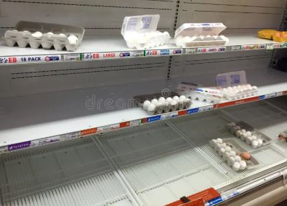 Grocery Chains Enforce Egg Limits as Bird Flu Sparks Shortages and Price Hikes