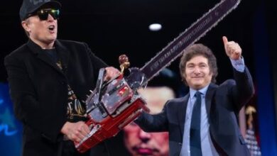 Elon Musk Wields Chainsaw as Symbol of Federal Job Cuts, But Reports Challenge Firing Justifications