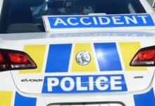 Carnage as car collides with cattle