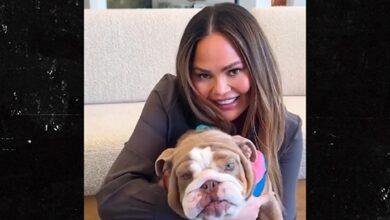 Chrissy Teigen and John Legend Rescue Dog Months After Their Dog Passed Away