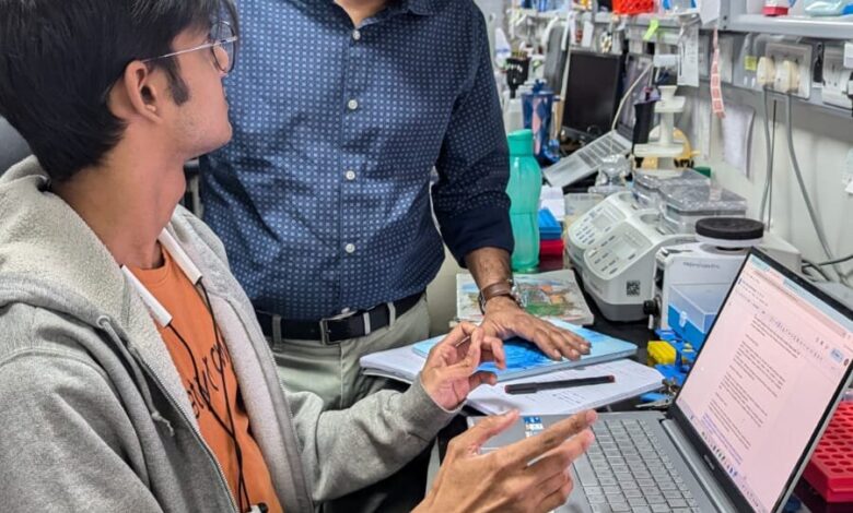 Chronic sucrose consumption in mice reveals organ-specific metabolic disruptions