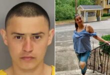 Georgia illegal immigrant David Hector Rivas-Sagastume charged in killing of Camilla Williams