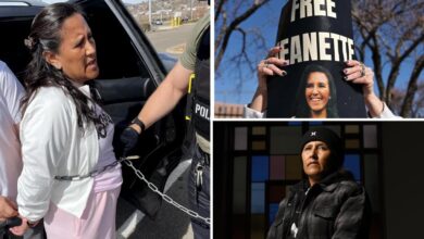 How Trump finally nailed illegal immigrant activist Jeanette Vizguerra