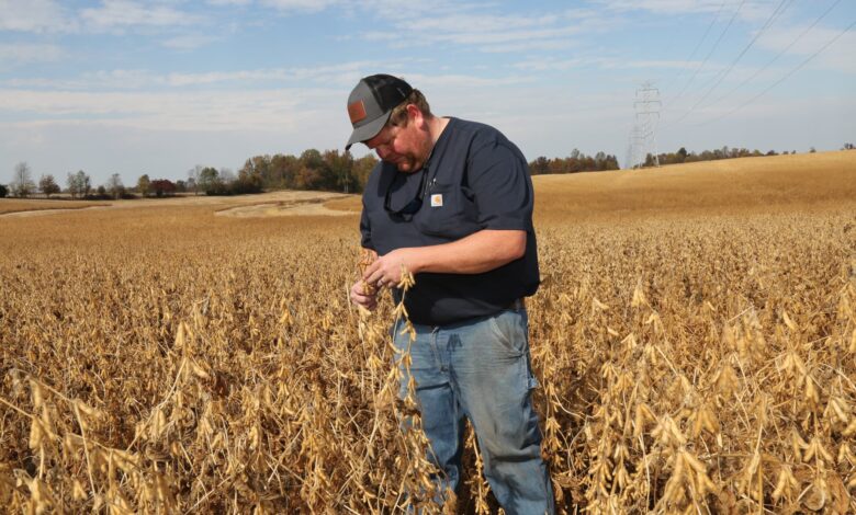 How Trump’s trade policy is putting pressure on U.S. farmers