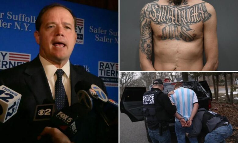 Long Island DA reveals 3 twisted ‘rules’ that made MS-13 a plague in the suburbs